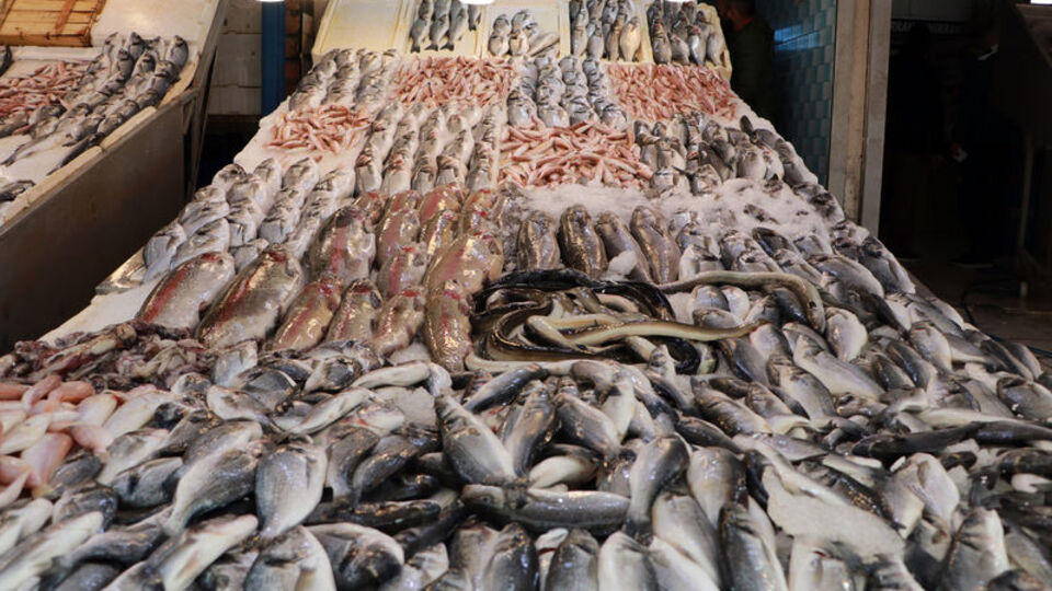 Balıkta boya ve ağırlık hilesi!