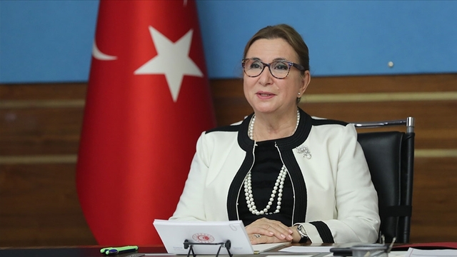 'Müteahhitlik proje büyüklüğü 14 milyar doları aştı'