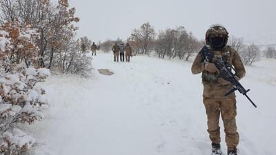 Eren-2 Lice operasyonu başlatıldı