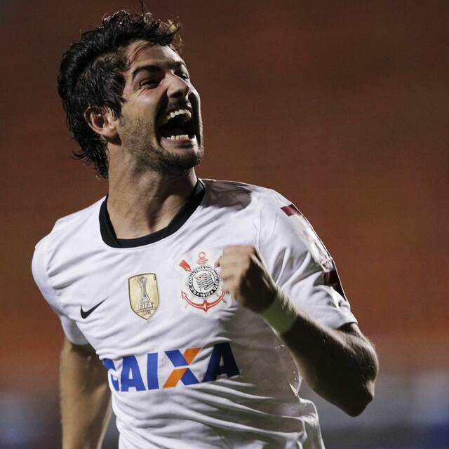 Pato çılgınlığı!