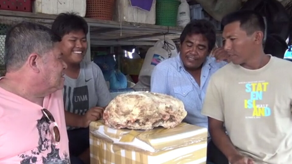 Genç balıkçı sahilde buldu... Değeri şaşkına çevirdi
