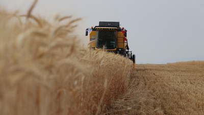 Tarımda üretim maliyeti arttı