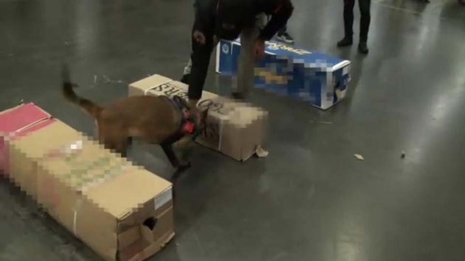 Gül kolilerinden kokain çıktı!