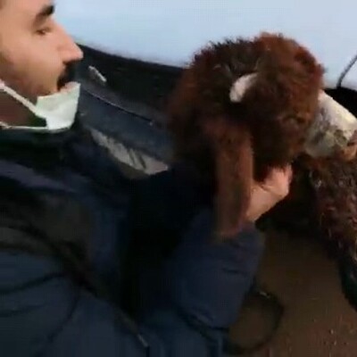 Sınır kapısında şaşkına çeviren olay!