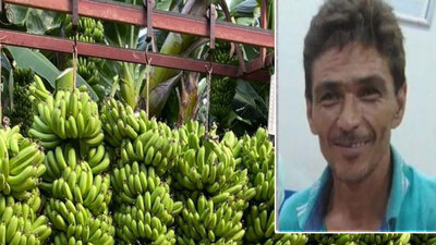 Muz serasında öldürülmüştü! Katili şoke etti!