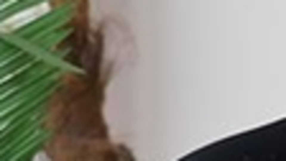 Bilim Kurulu Üyesinden 'rehavete kapılmayalım' uyarısı