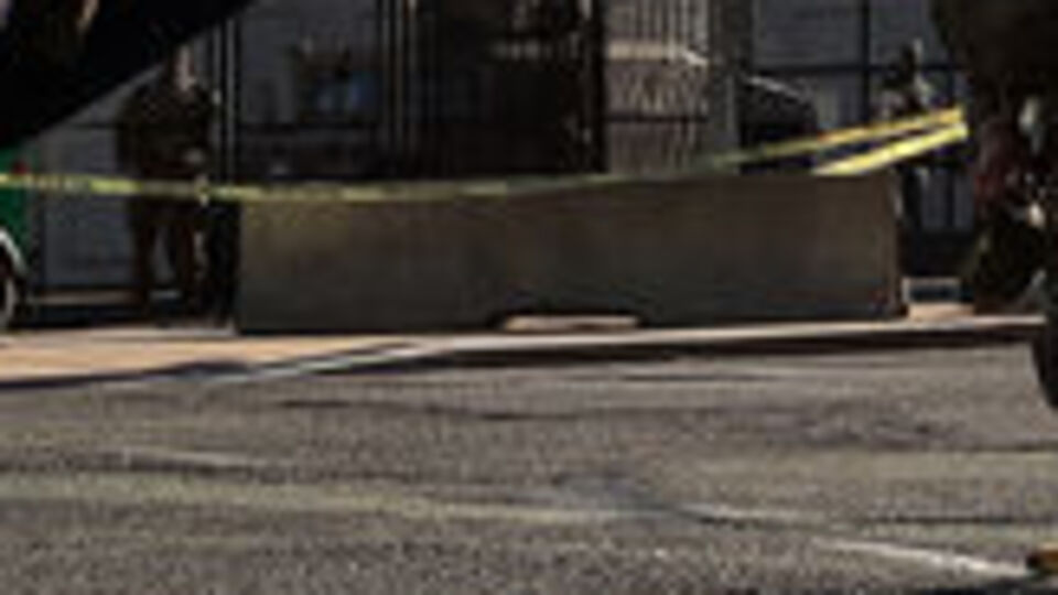 Yemin törenindeki Muhafızlar pozitif