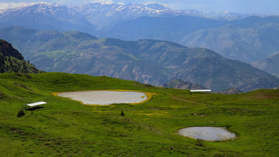"Anadolu'da çok kısıtlı yerde var" Yaylada keşfedildi...