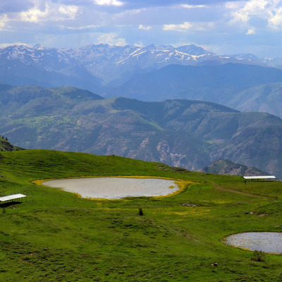 "Anadolu'da çok kısıtlı yerde var" Yaylada keşfedildi...