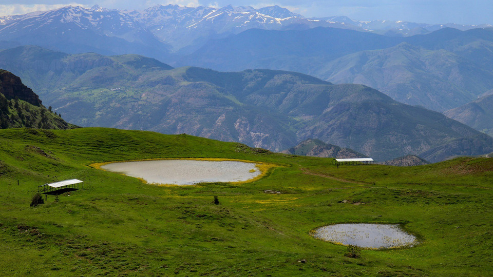 "Anadolu'da çok kısıtlı yerde var" Yaylada keşfedildi...