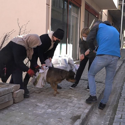 Bahçesine giren komşusunun köpeğini öldürdü!