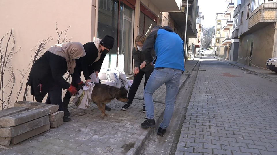 Bahçesine giren komşusunun köpeğini öldürdü!