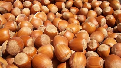 Mucize deposu fındığın faydaları saymakla bitmiyor!