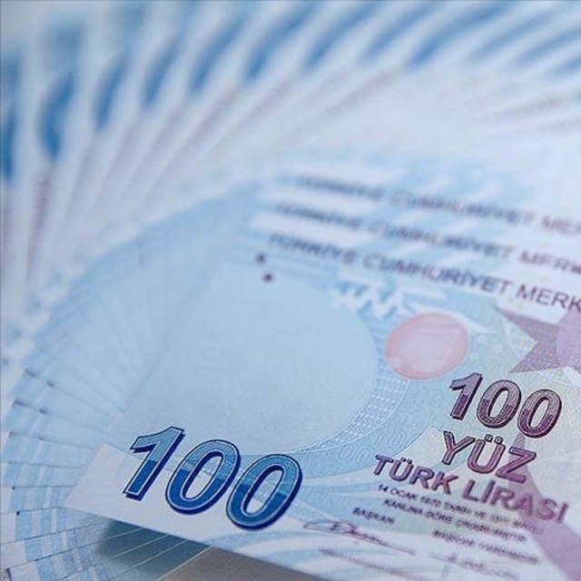 Lisanslı depoculuğa 323 milyon lira destek
