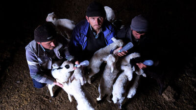 Anneleri çalındı, biberonla besliyorlar