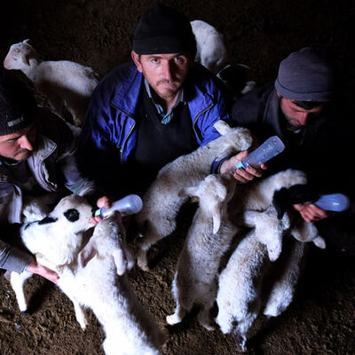 Anneleri çalındı, biberonla besliyorlar