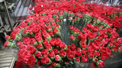 İhracatı arttı, ithalatı azaldı