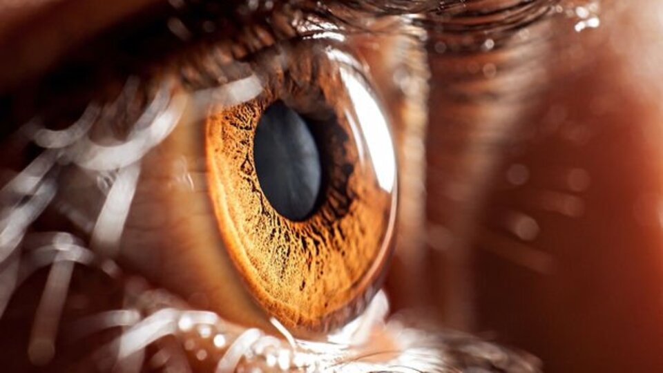 Korkunç! Hava kirliliğinin bir etkisi daha!