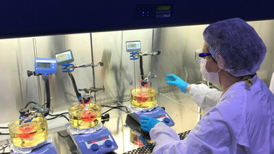 3 yeni girişimcilik programı hazırladı