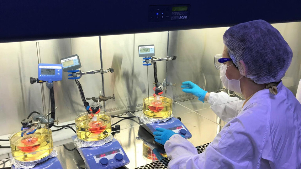 3 yeni girişimcilik programı hazırladı