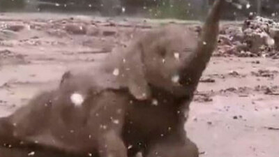 Yağan karın tadını böyle çıkardılar