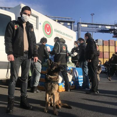 Van'da elma, İstanbul'da muz!