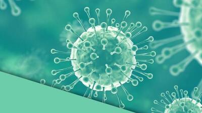 Nipah virüsü nedir?