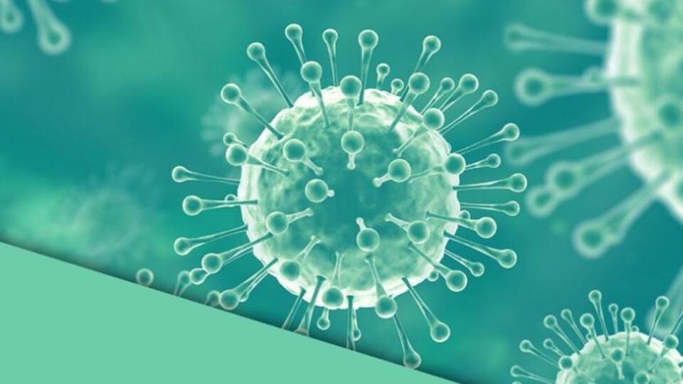 Nipah virüsü nedir?