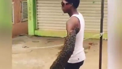 Ayaklı arı kovanına döndü, viral oldu