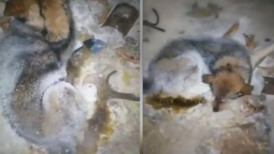 -54 derecede buz tuttu ama... Mucize gibi olay