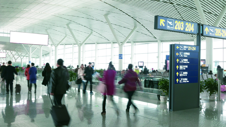 30 kilo portakalı 30 dakikada yediler... Nedeni şaşkına çevirdi!