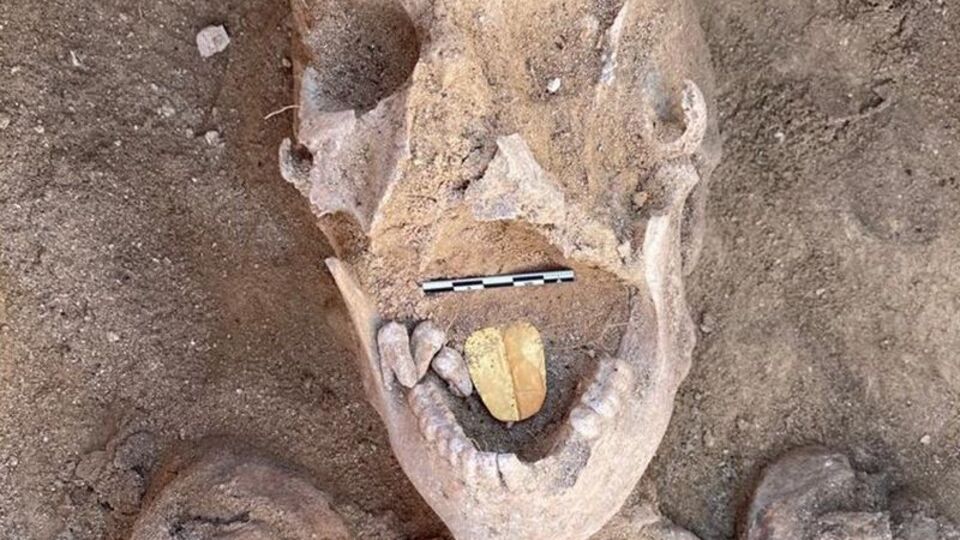 Arkeologları şaşırtan keşif... Altından dili var!