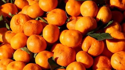 Ocak ayı zam şampiyonu mandalina