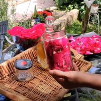 Evde gül yağı yapmanın püf noktaları!