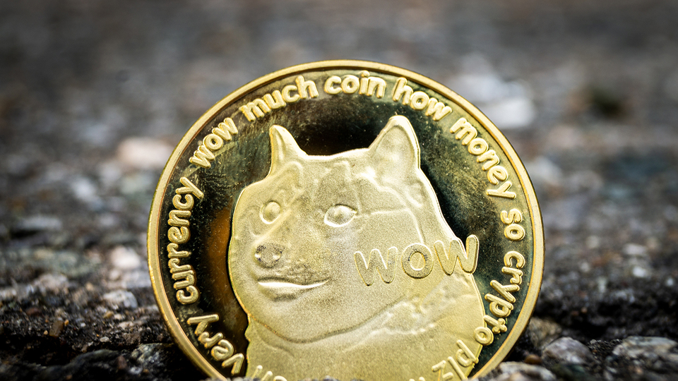 Dogecoin nedir, kaç TL?