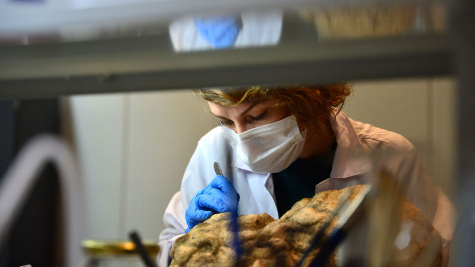 Troya Müzesi'nin perdeleri açılıyor