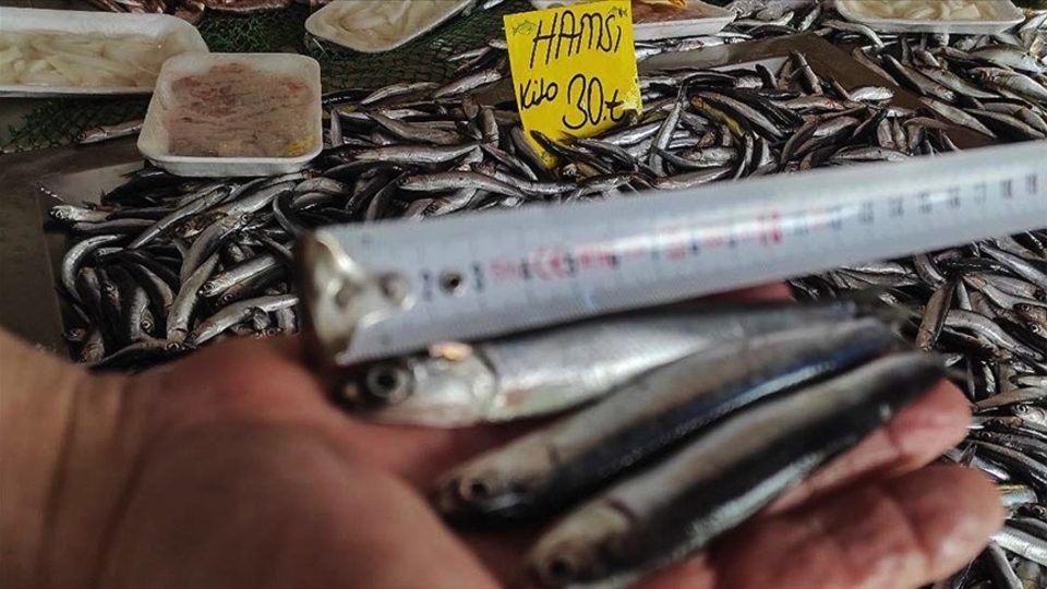 Yasaklar kalktı fiyatlar düştü