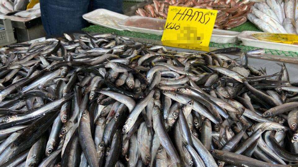 Yasak kalktı, İstanbul'da fiyat düştü