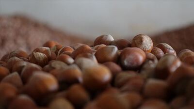 Trabzon'dan 33 ülkeye fındık ihracatı