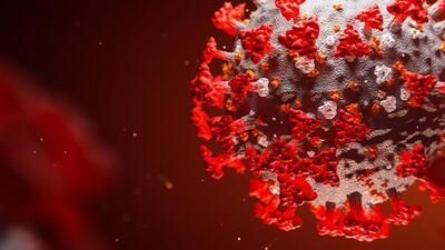 Mutasyonlu virüs hangi illerde var?