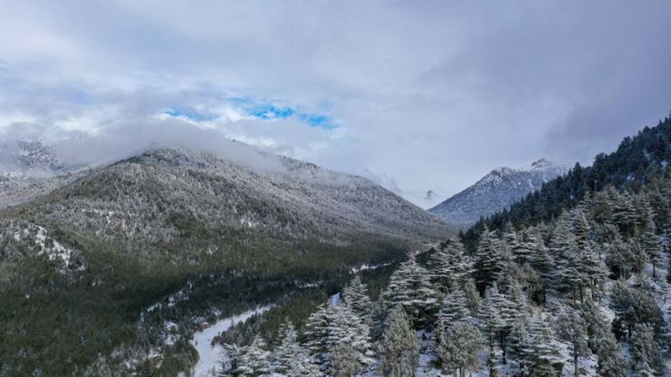 Doğa yürüyüşçülerinin rotası oldu