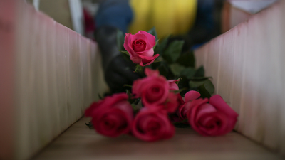 Çiçekçilere sevgililer günü dopingi