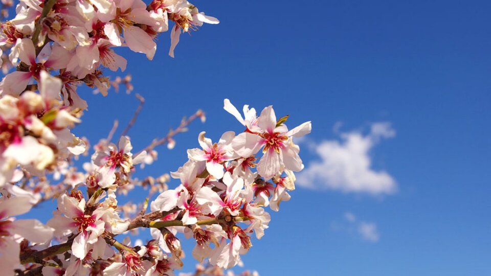 Cemre ne zaman düşecek?