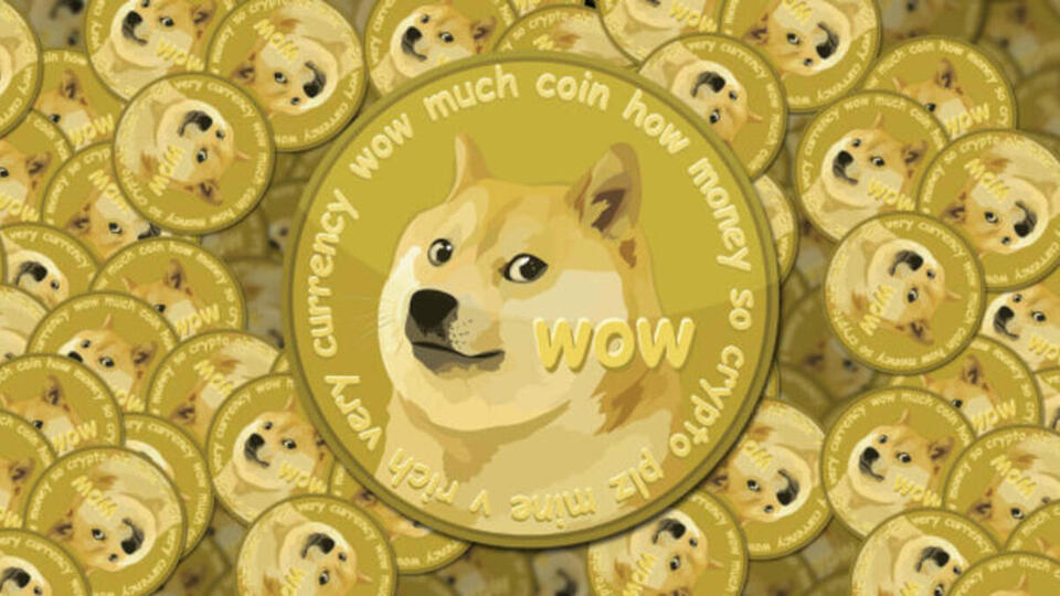 Dogecoin nedir, kaç TL?