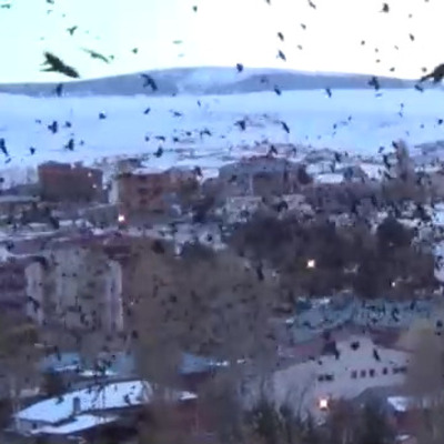 Şimdi de o ili istila ettiler!