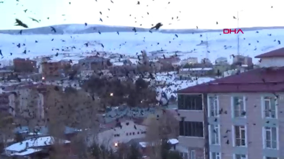 Şimdi de o ili istila ettiler!