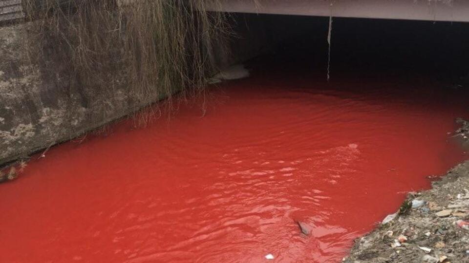 Ankara Çayı'nda korkutan görüntü!