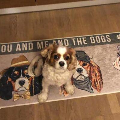 Bilim Kurulu Üyesinden dikkat çeken uyarı!