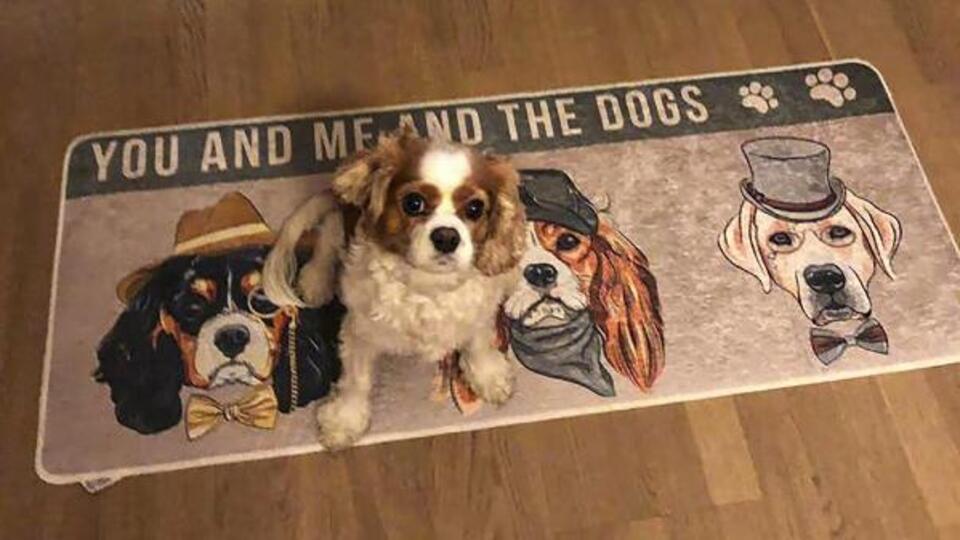 Bilim Kurulu Üyesinden dikkat çeken uyarı!