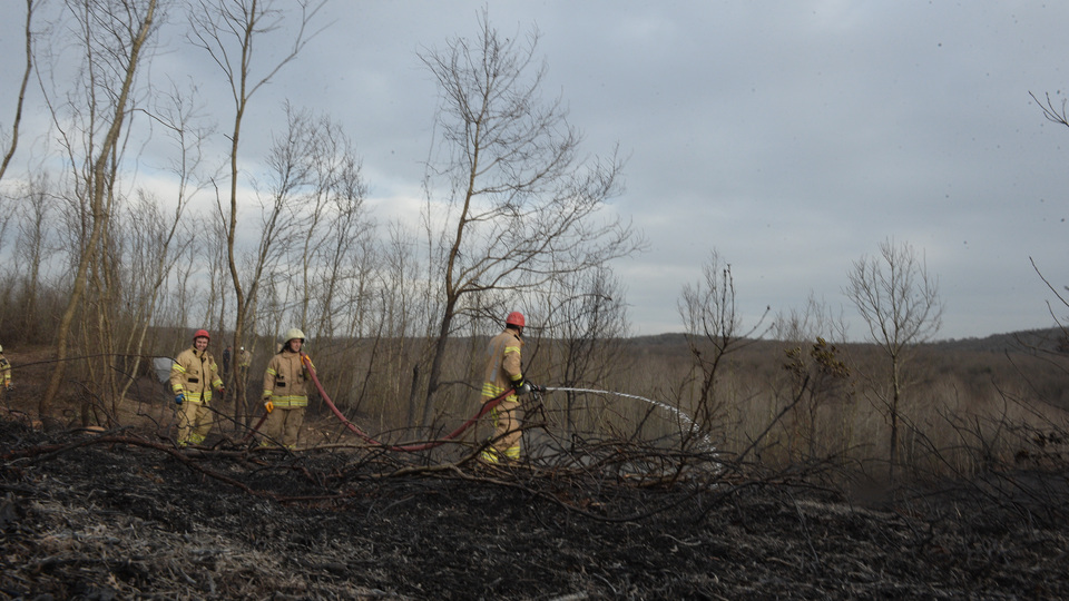 Ormanda silahla ateş açıp yangın çıkardılar!